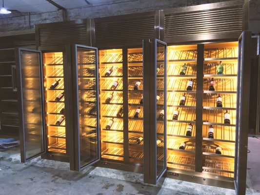 Harga yang bagus Desain Ukuran Disesuaikan Pribadi Dari Kabinet Anggur Stainless Steel Berwarna on line