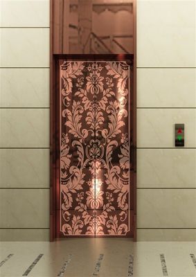 Harga yang bagus Metal Steel Gua Sha Harga Lift Pengendali lift penumpang on line